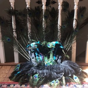 Peacock Halloween costume- homemade